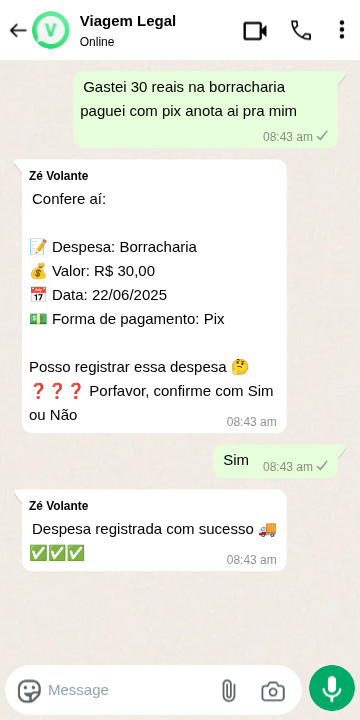 Interface do WhatsApp mostrando como registrar despesas